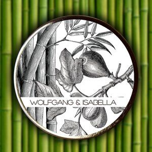 BLACK FIG & BAMBOO SOY CANDLE TRAVEL TIN